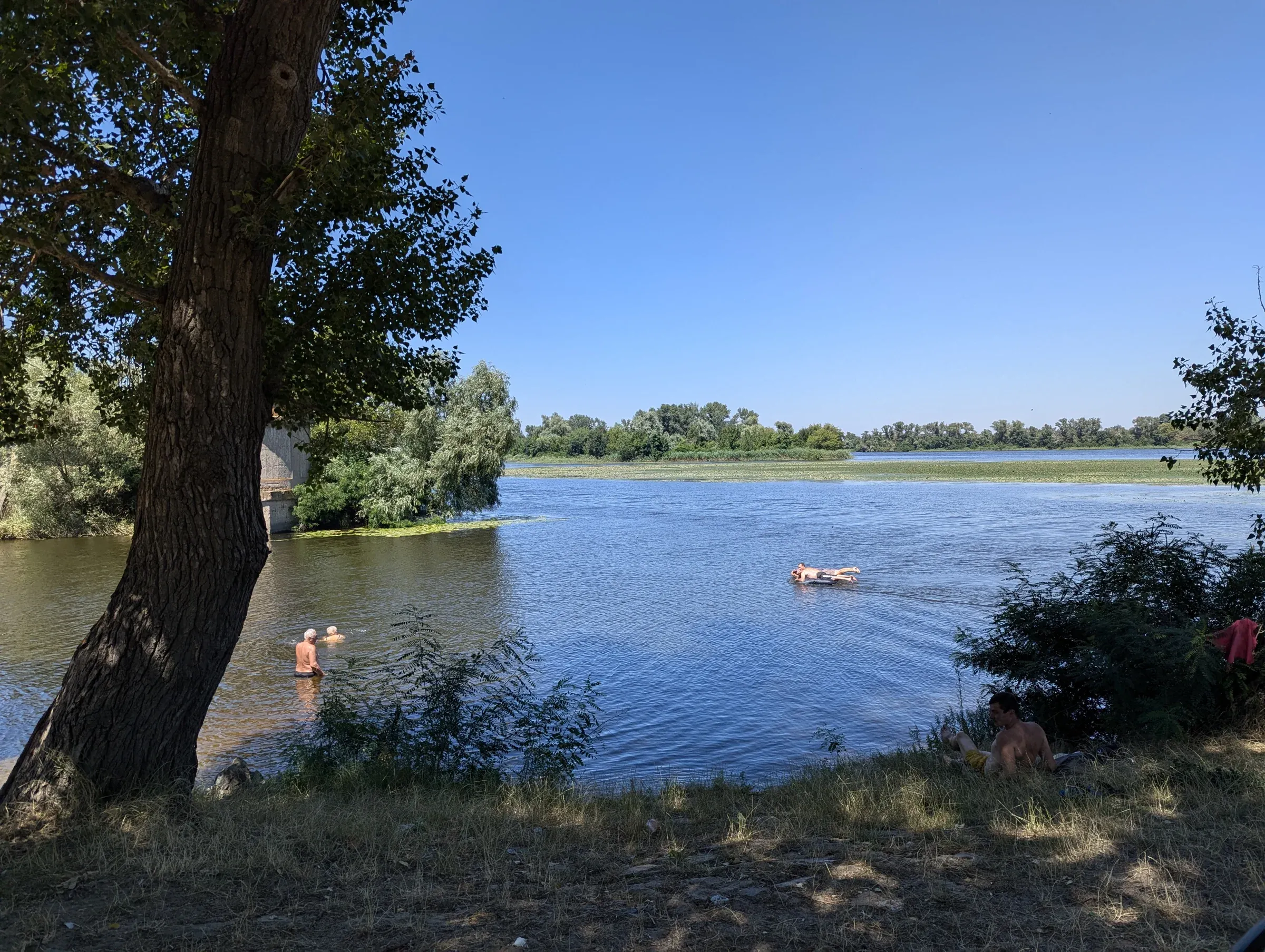 Вода й протилежний берег крізь дерева на узбережжі Карнаухівки